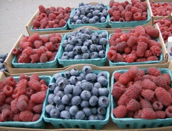 picked berries